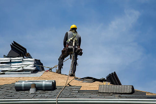 Professional Storm Damage Roof Repair technician working in Lone Tree, IA